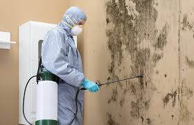 Professional Mold Inspection in Munford, TN